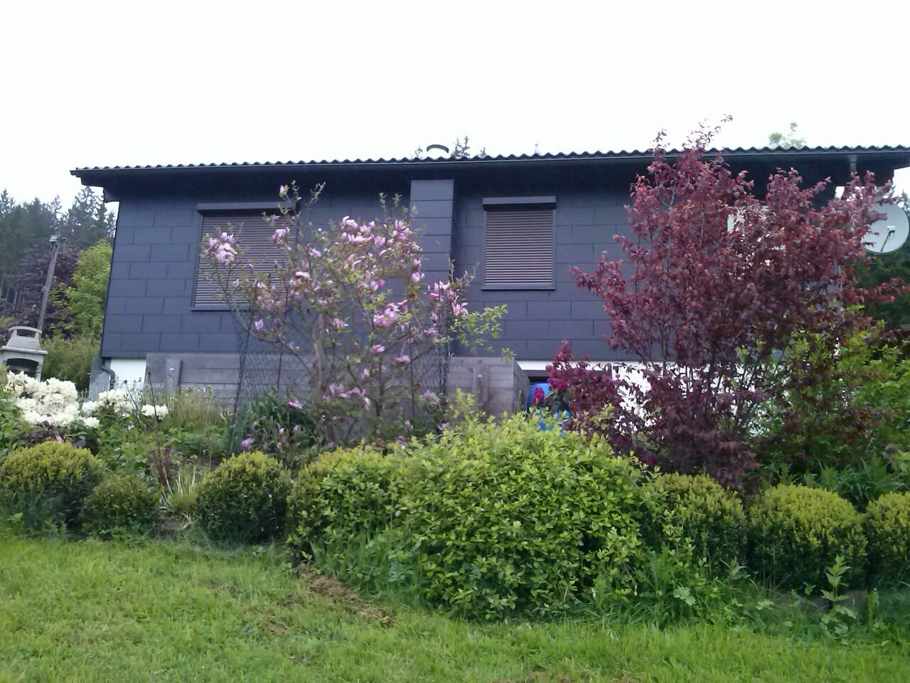 Schwarzenbach a.Wald: ***PREISSENKUNG***Gartenparadies mit Privatsphäre in Schwarzenbach am Wald! 