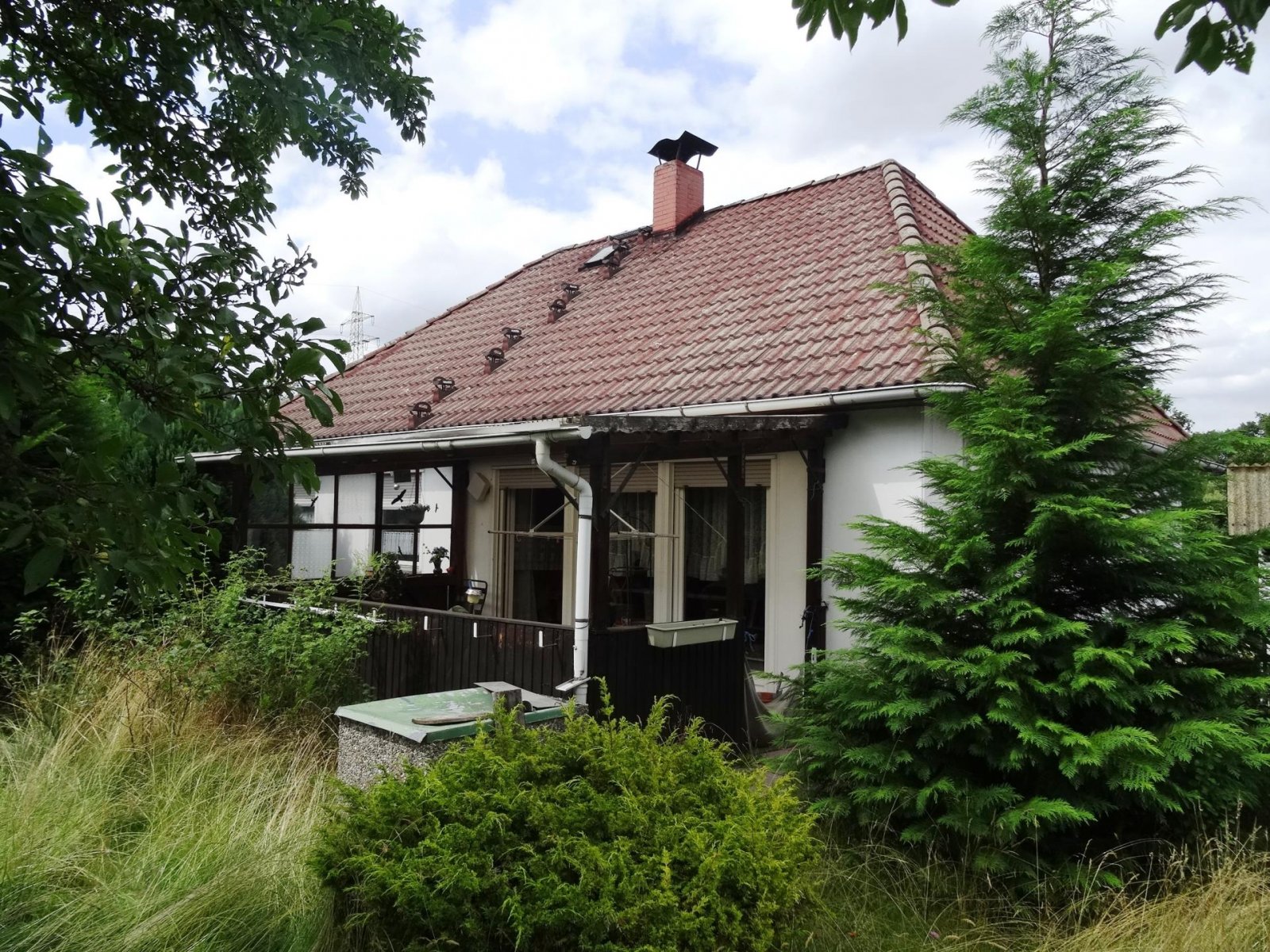 Döhlau: .... dieses Haus braucht ein bißchen Liebe.... 