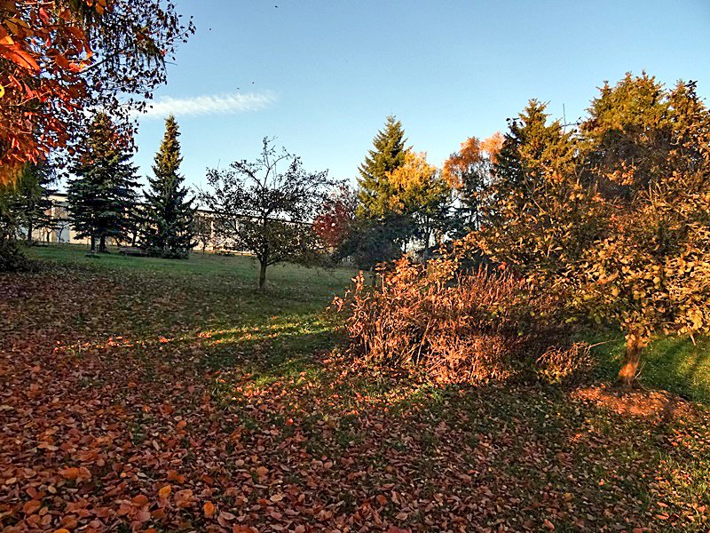 Selbitz: Viel Platz für die Freizeit 