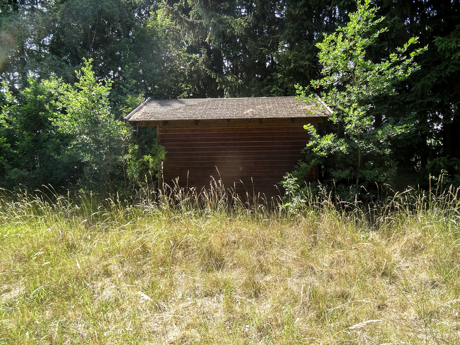 Regnitzlosau: Bauplatz mit altem Baumbestand 
