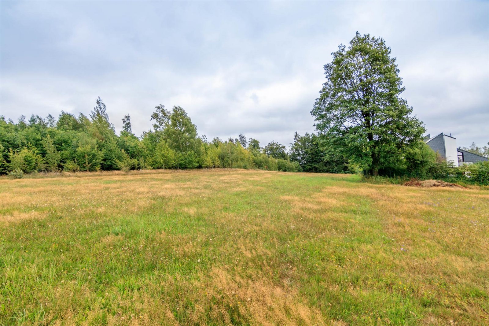 Helmbrechts: Großes Wiesengrundstück am Ortsrand von Helmbrechts 