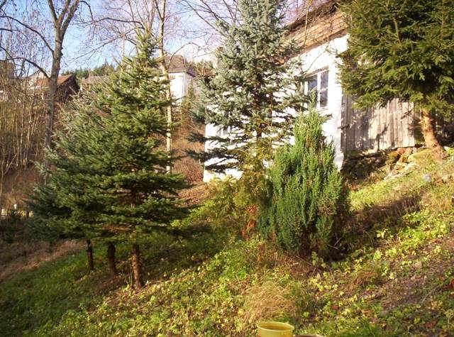 Wallenfels: Doppelhaushälfte in Wallenfels 