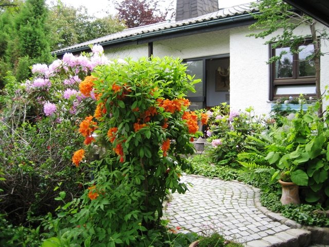 Weißdorf: Einfamilienhaus zur Miete 